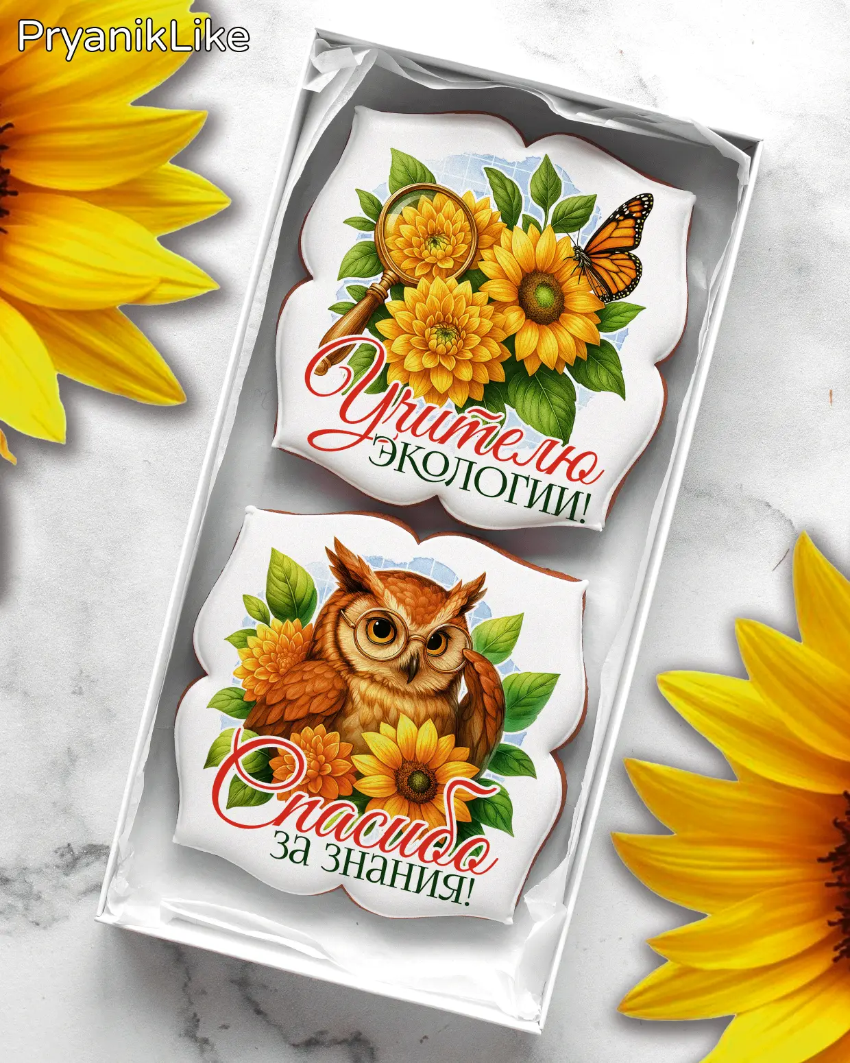 (2025) Наборы предметникам (ДУ)